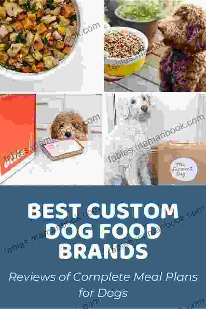 Homer's Customized Dog Food Options, Tailored To Each Dog's Unique Needs. Dog Food Homer